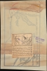 [Weldon, the Runaway Wallaroo]. - Alternate View 1 Thumbnail