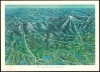 1960 Brusseau Bird's-Eye View Map of the White Mountains, New Hampshire